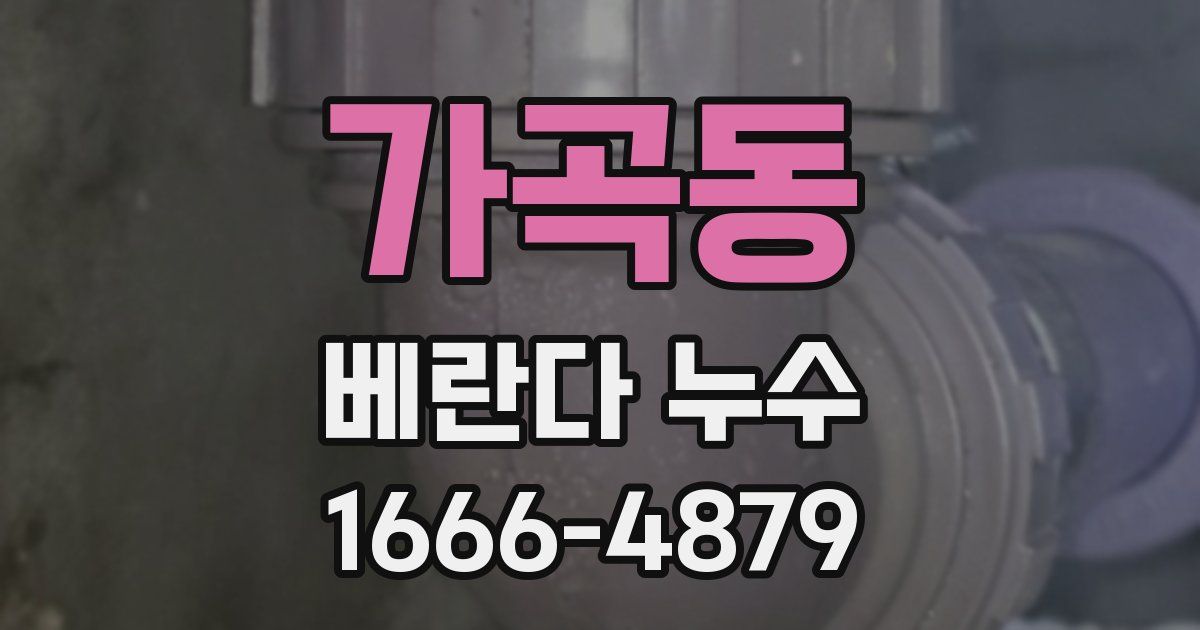 가곡동 베란다 누수