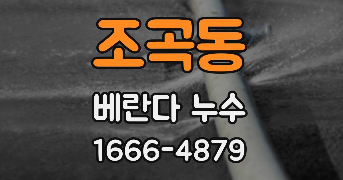 조곡동 베란다 누수