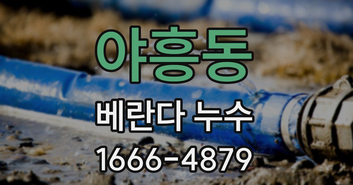야흥동 베란다 누수