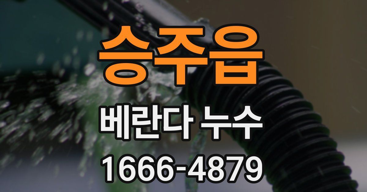 승주읍 베란다 누수