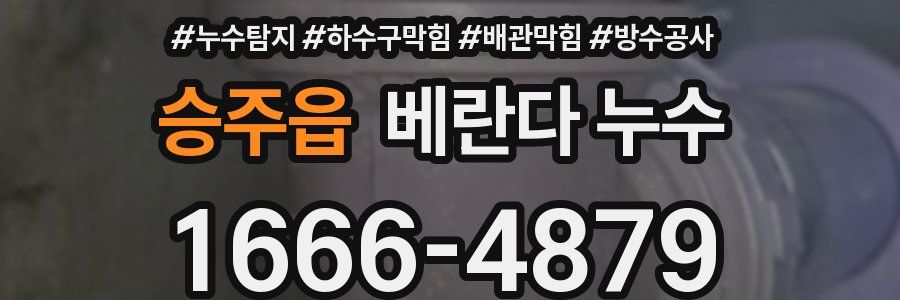 승주읍 베란다 누수