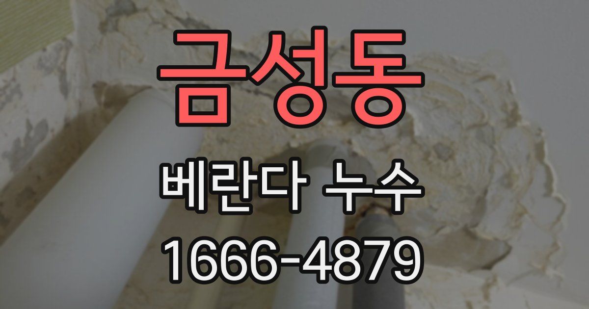 금성동 베란다 누수