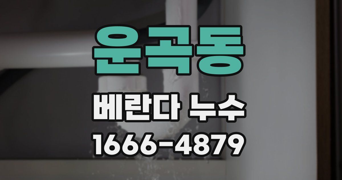 운곡동 베란다 누수