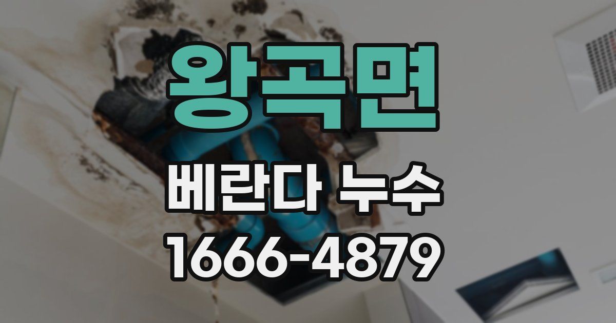 왕곡면 베란다 누수