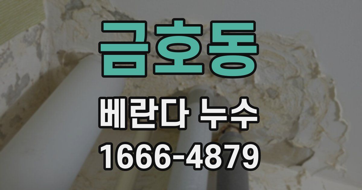 금호동 베란다 누수
