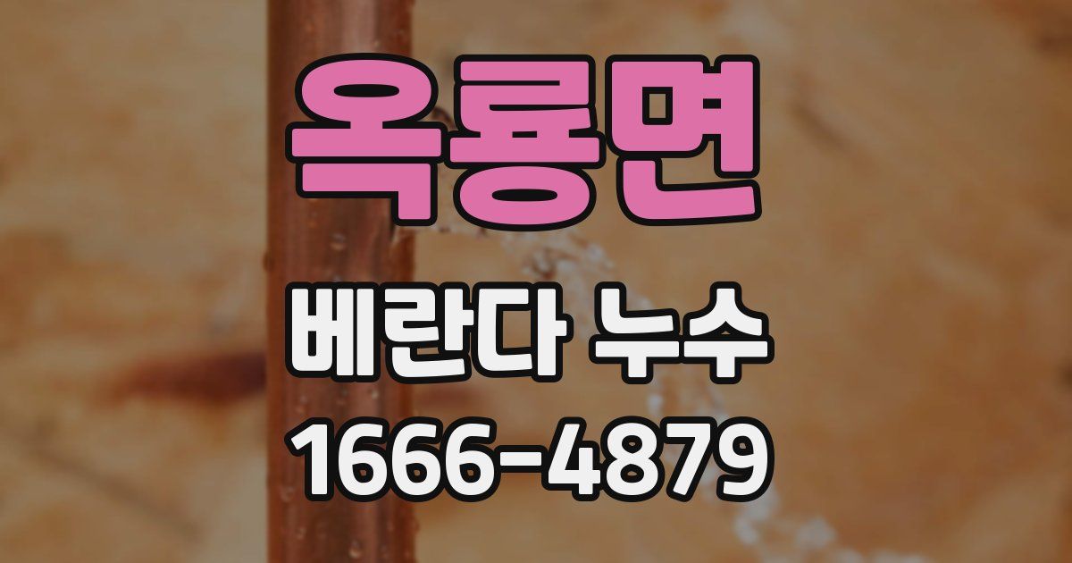 옥룡면 베란다 누수
