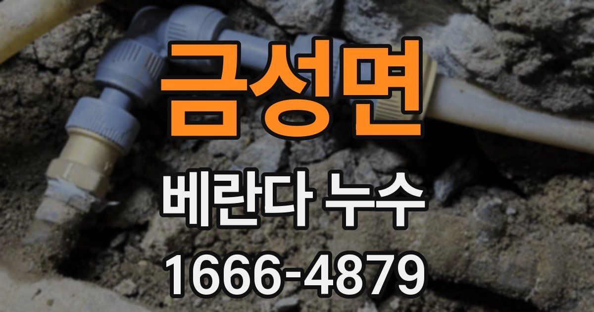 금성면 베란다 누수