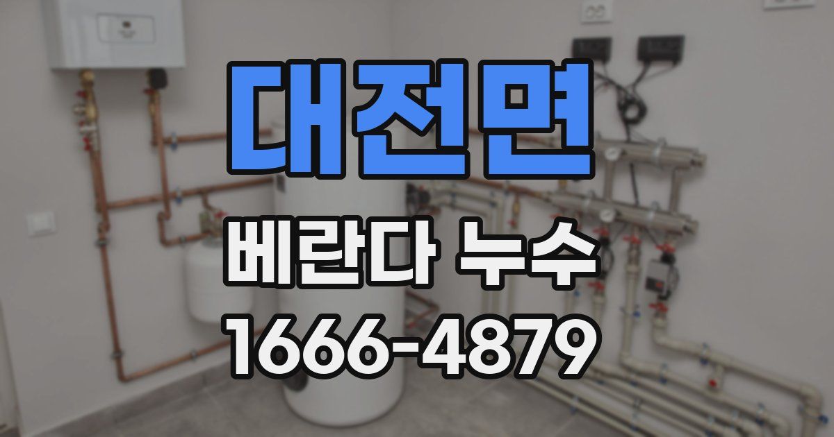 대전면 베란다 누수