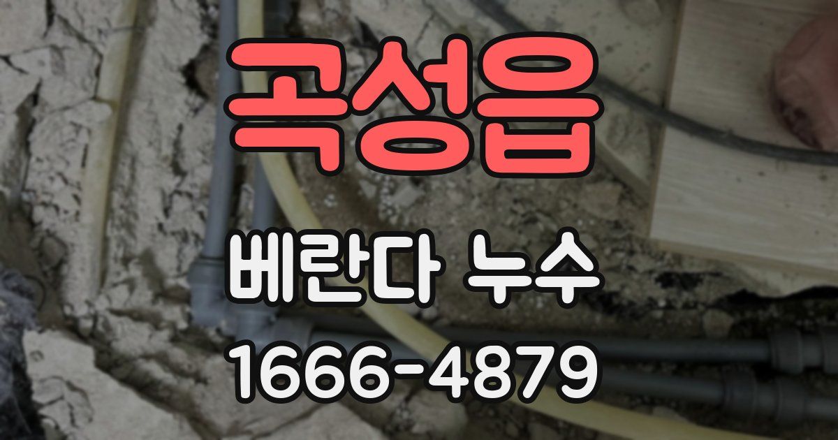 곡성읍 베란다 누수