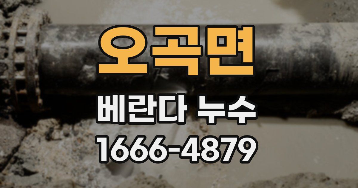 오곡면 베란다 누수