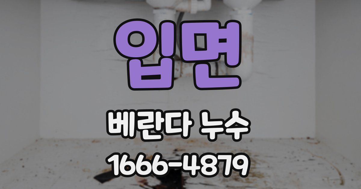 입면 베란다 누수