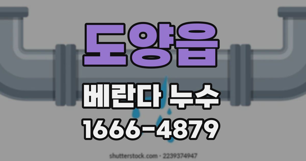 도양읍 베란다 누수