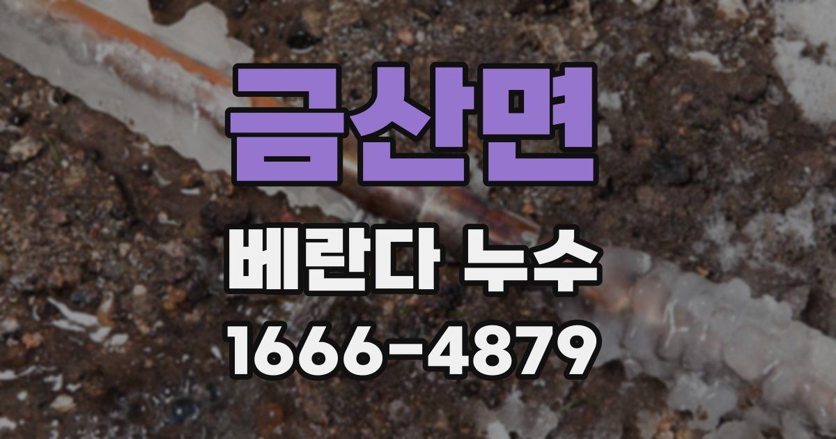 금산면 베란다 누수