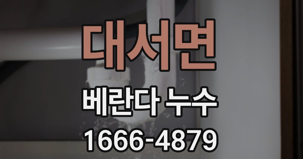대서면 베란다 누수