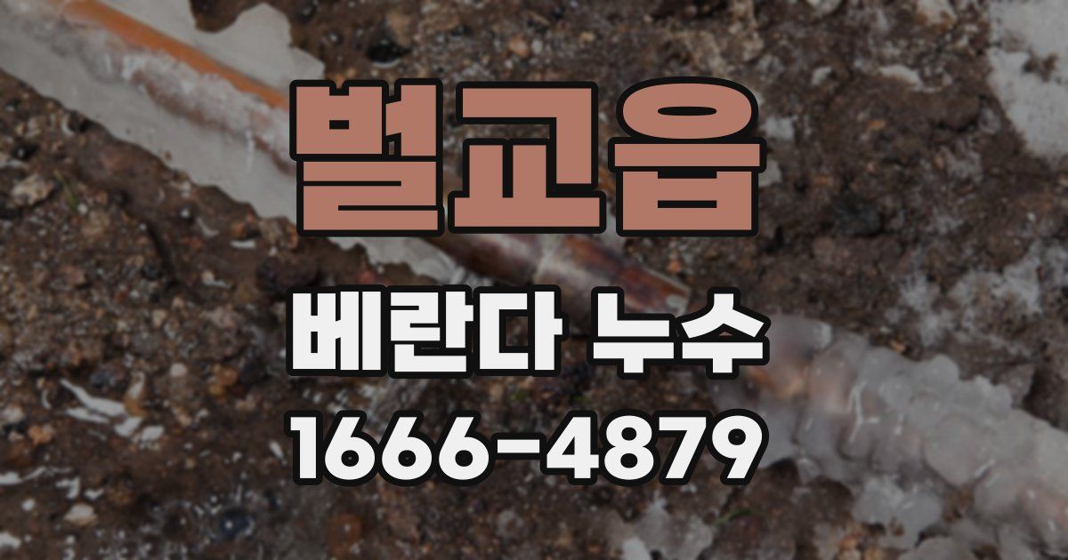 벌교읍 베란다 누수