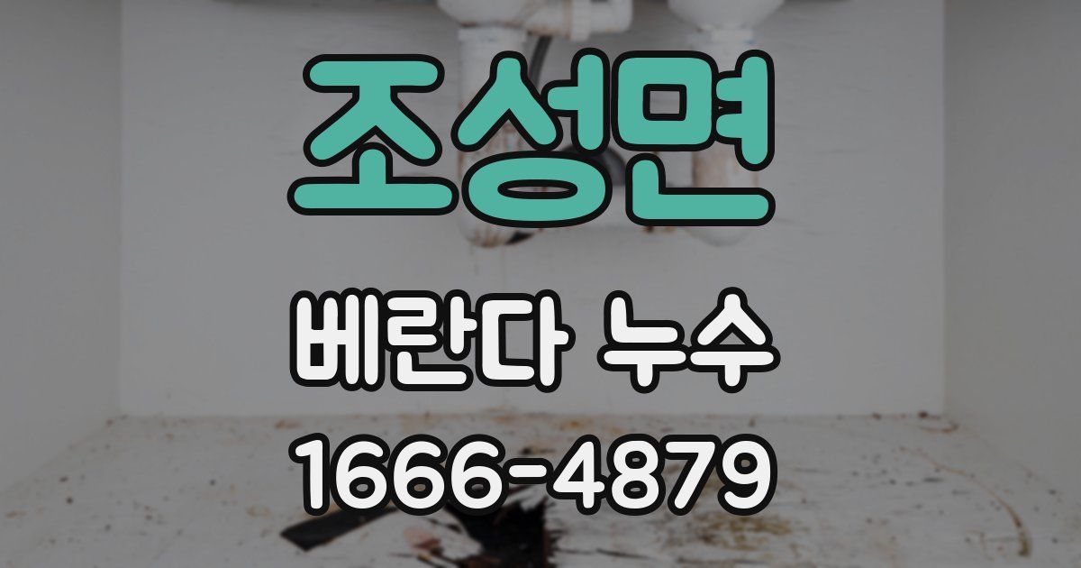 조성면 베란다 누수