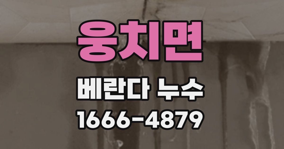 웅치면 베란다 누수