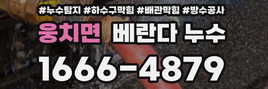 웅치면 베란다 누수