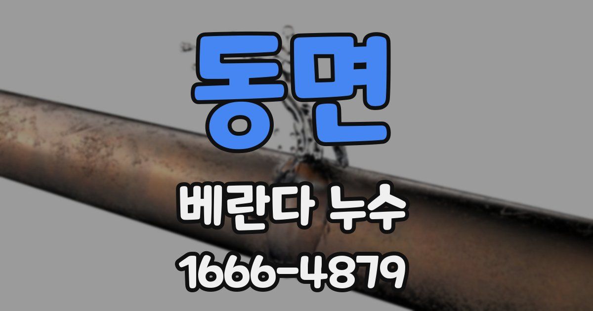 동면 베란다 누수