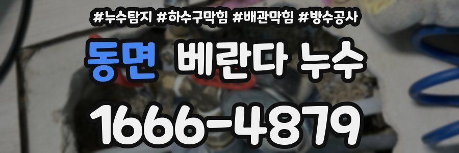 동면 베란다 누수