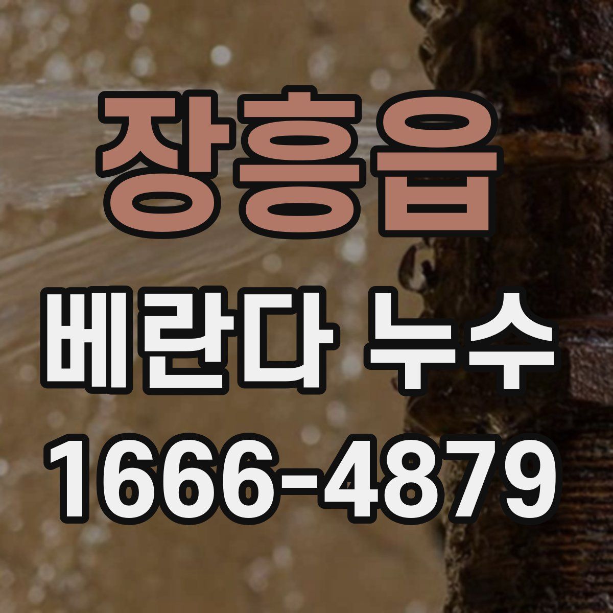 장흥읍 베란다 누수