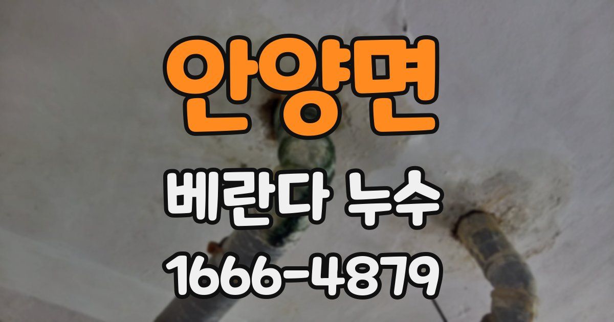 안양면 베란다 누수