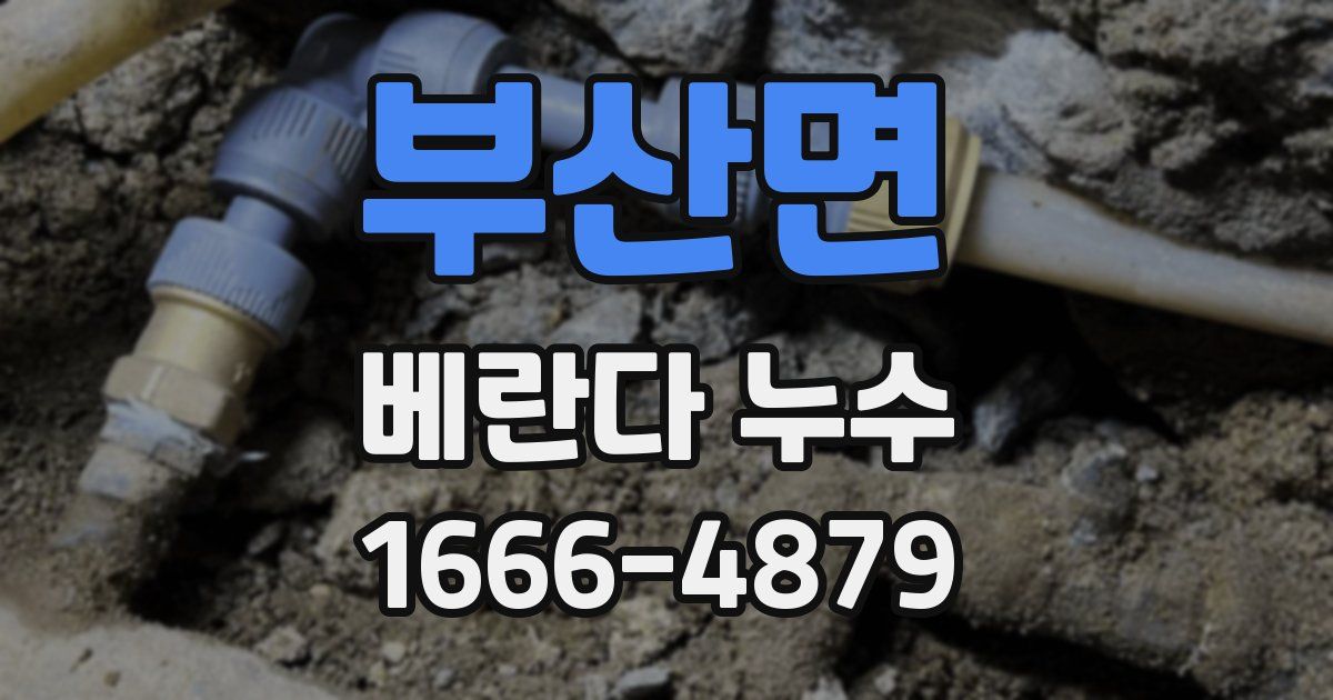 부산면 베란다 누수