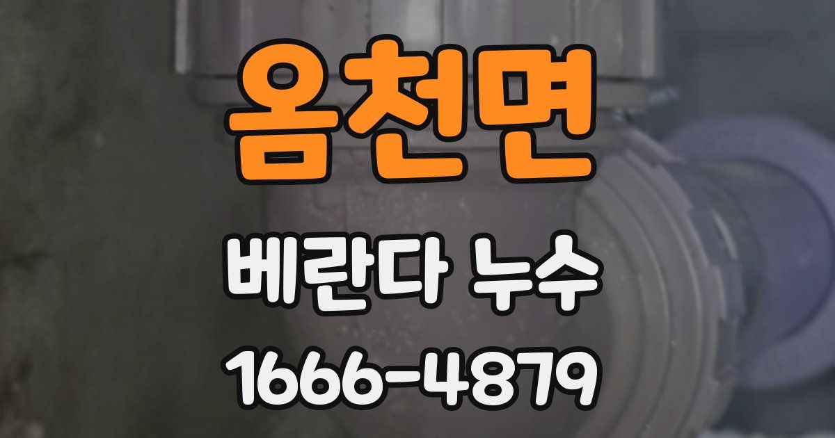 옴천면 베란다 누수