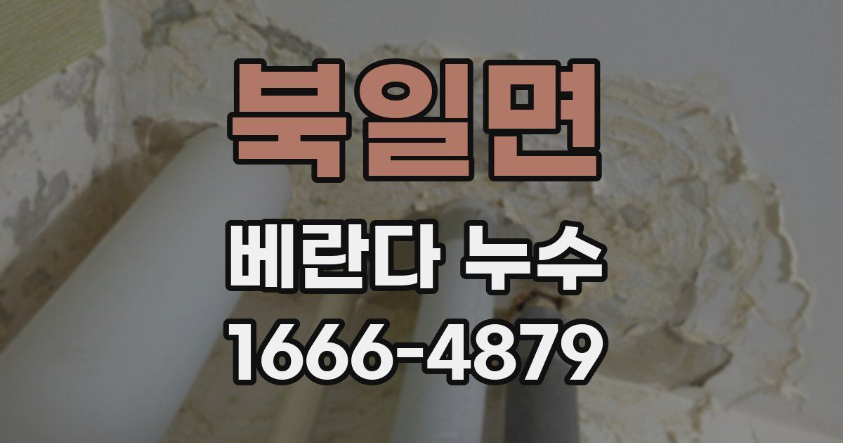 북일면 베란다 누수