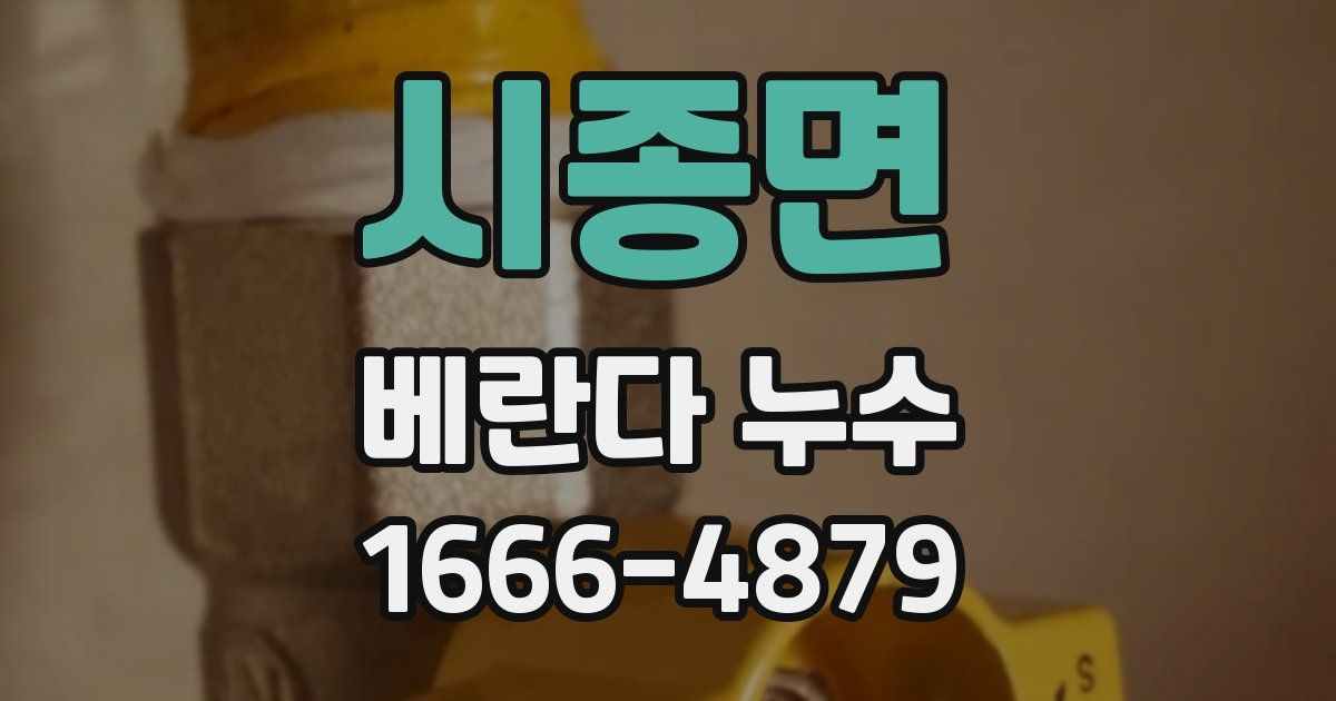 시종면 베란다 누수