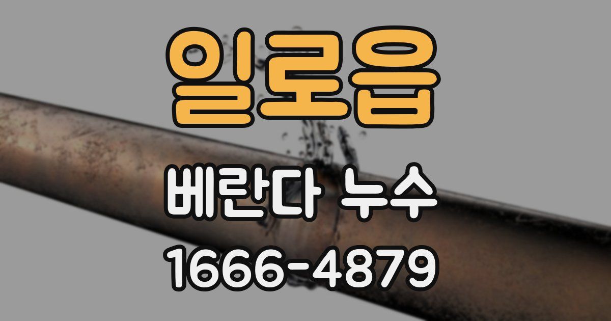 일로읍 베란다 누수