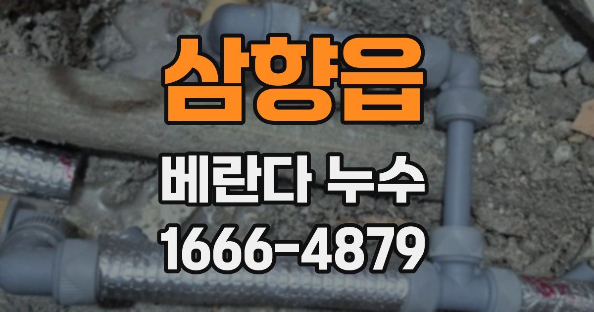 삼향읍 베란다 누수