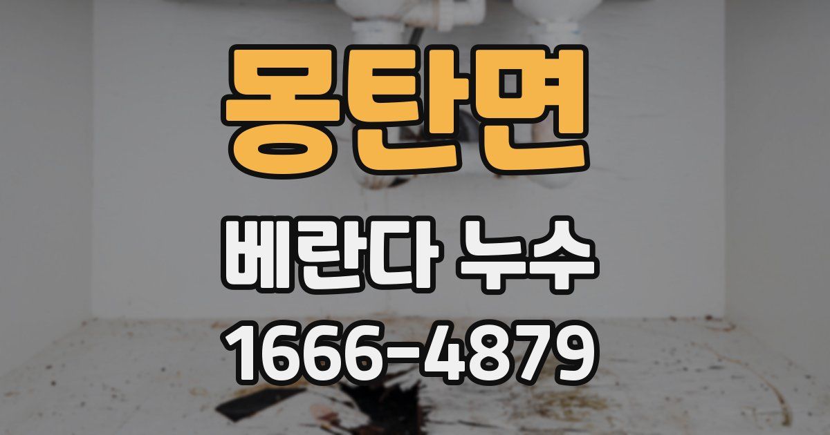 몽탄면 베란다 누수