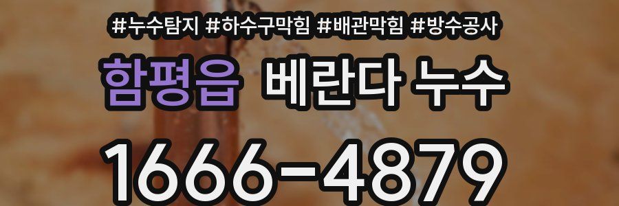 함평읍 베란다 누수