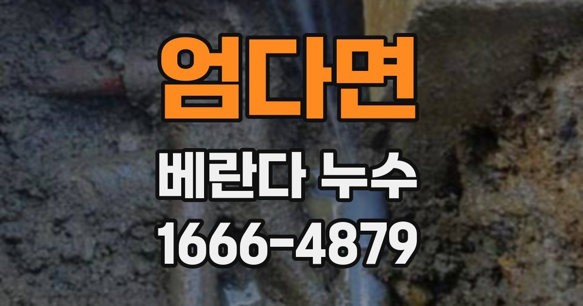 엄다면 베란다 누수