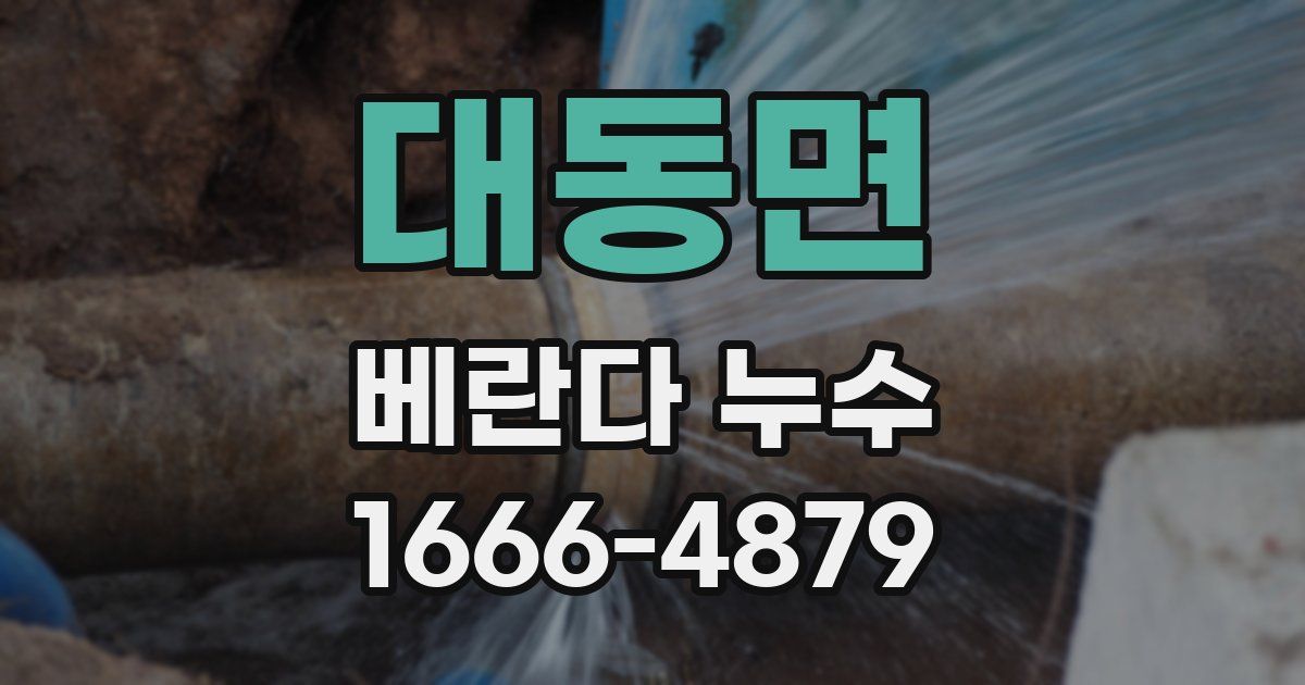 대동면 베란다 누수