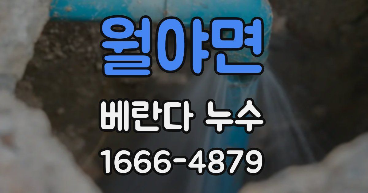 월야면 베란다 누수