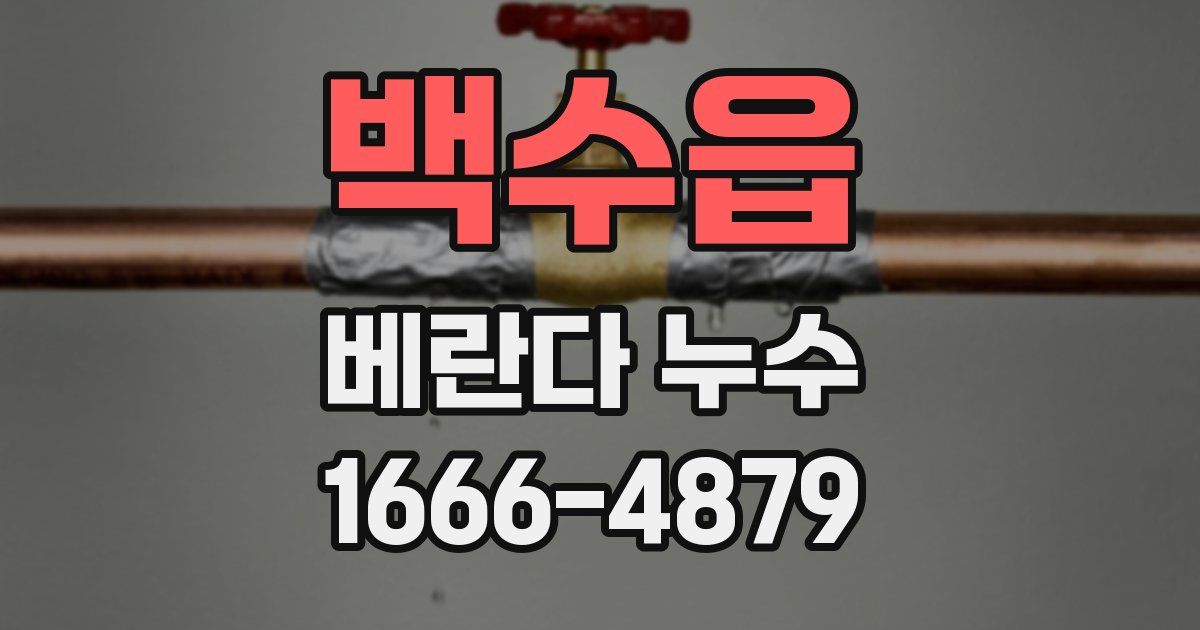 백수읍 베란다 누수
