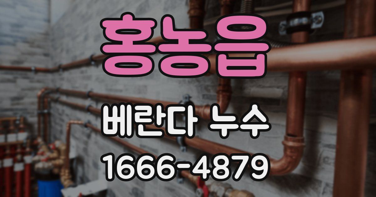 홍농읍 베란다 누수