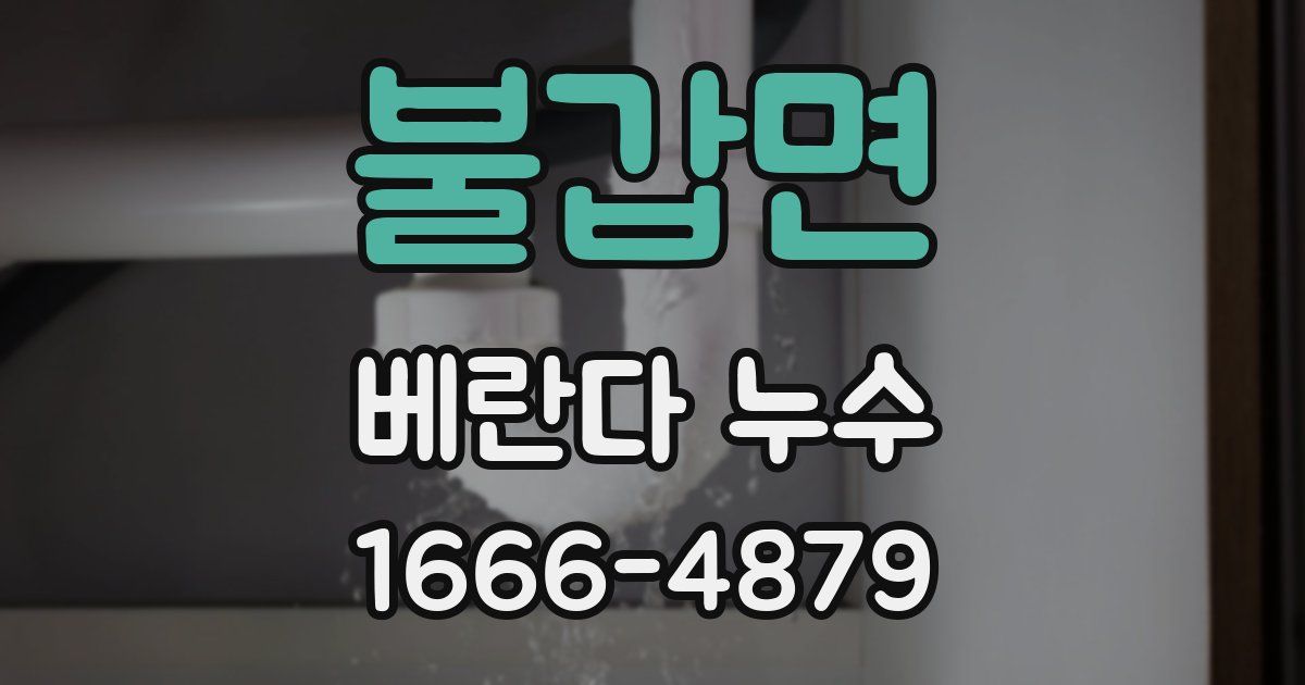 불갑면 베란다 누수
