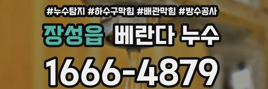 장성읍 베란다 누수