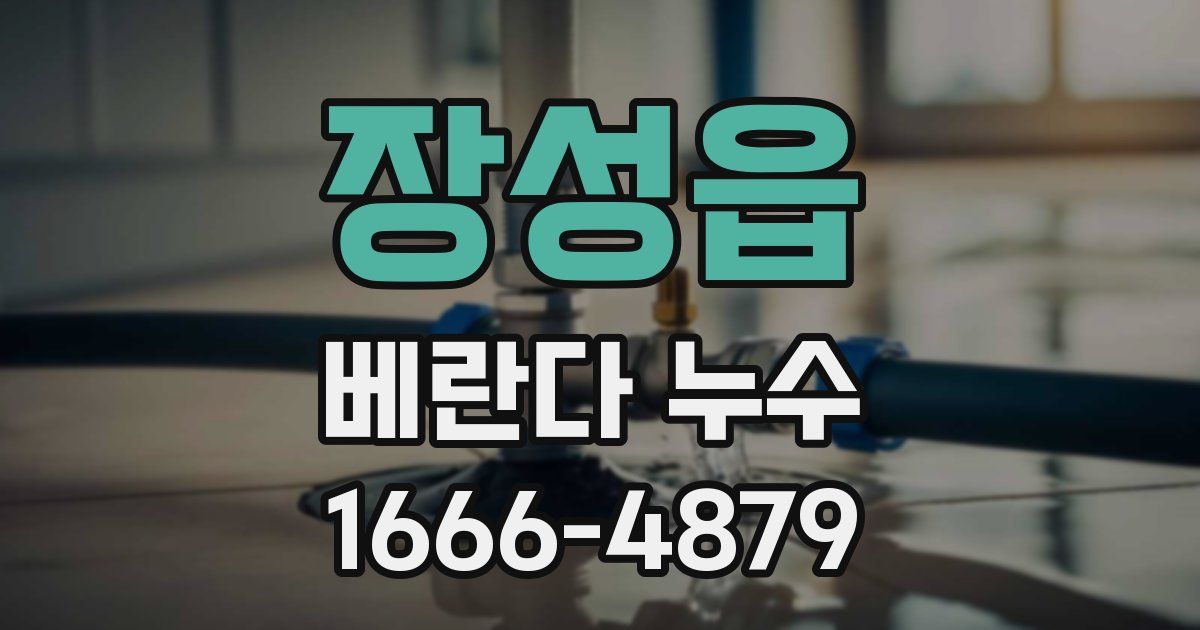 장성읍 베란다 누수