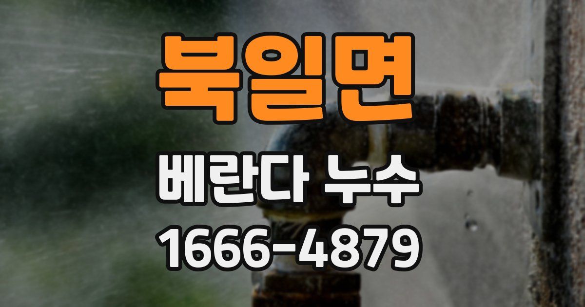 북일면 베란다 누수