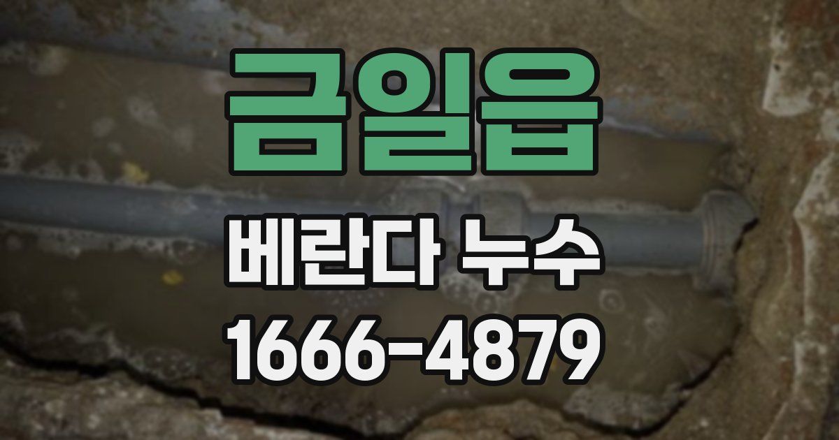 금일읍 베란다 누수