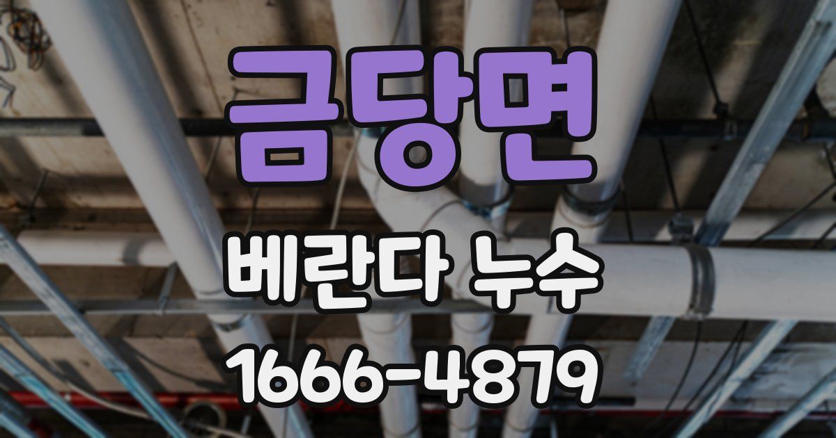 금당면 베란다 누수