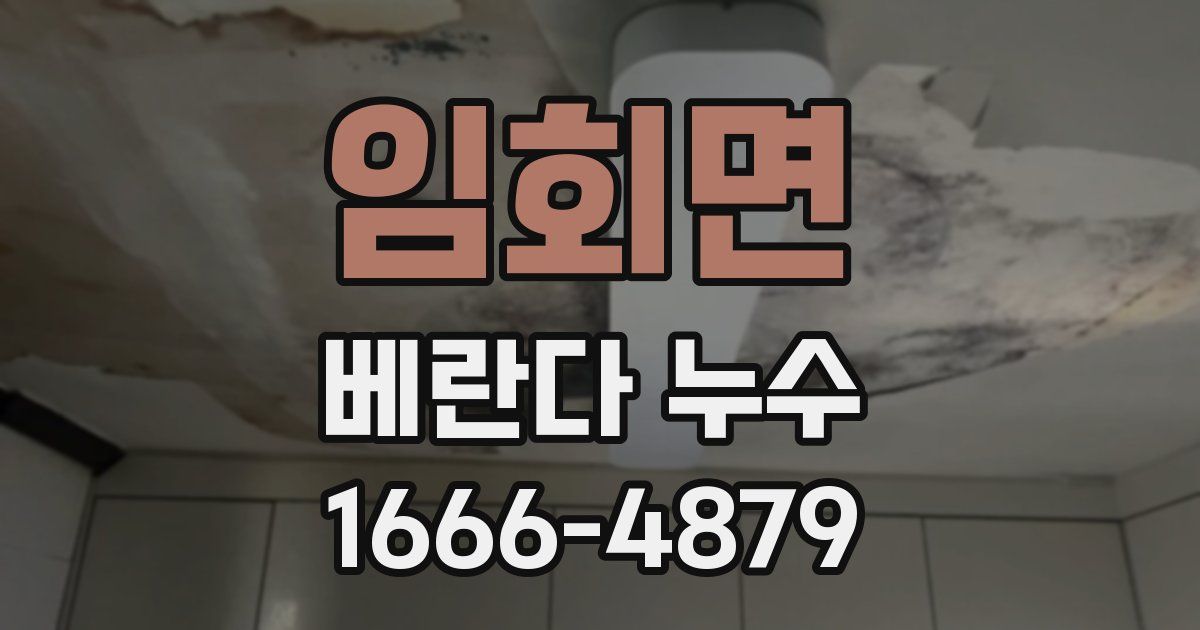 임회면 베란다 누수