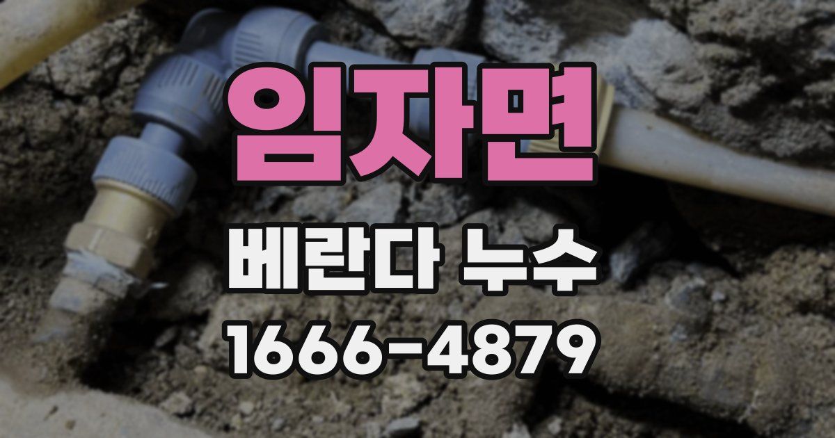 임자면 베란다 누수