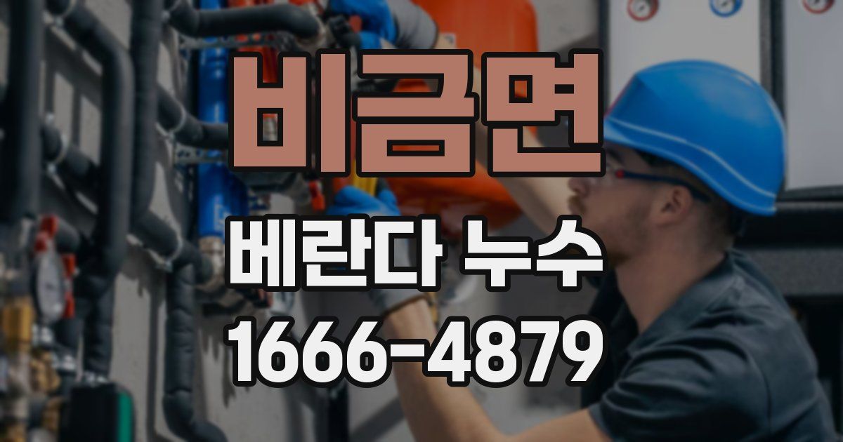 비금면 베란다 누수