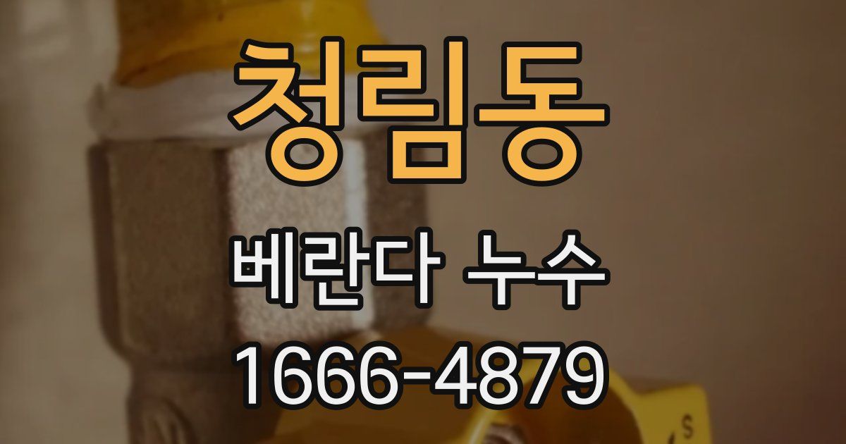 청림동 베란다 누수