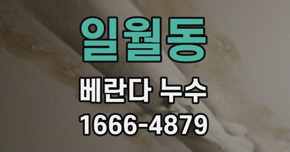 일월동 베란다 누수